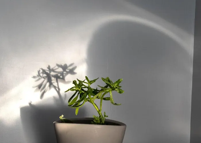 Casa Di Massimo Apartmán