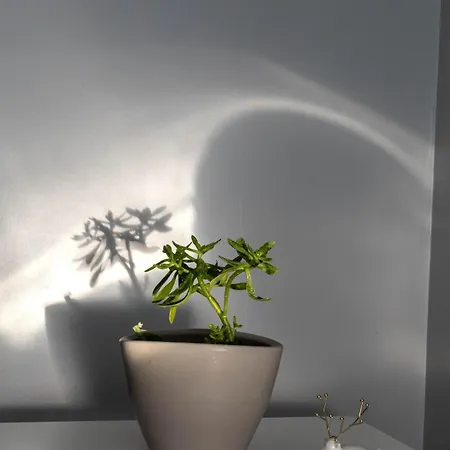 Casa Di Massimo Apartament